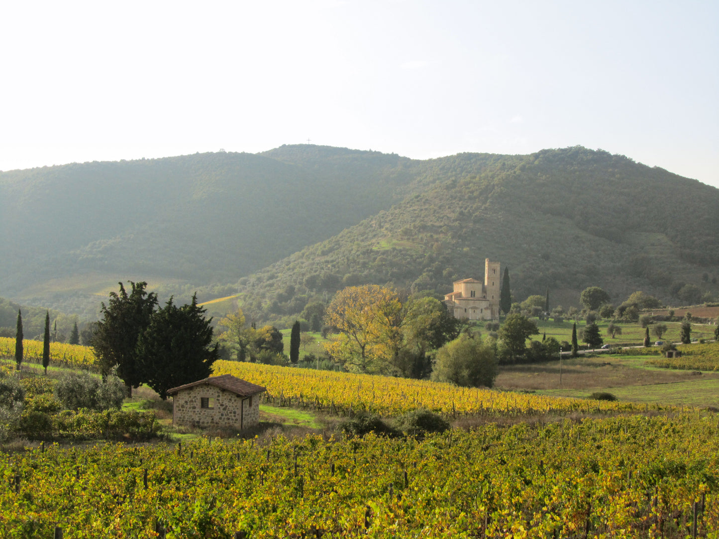 Reise durch die Toskana - 28.11.25 19:00 - 21:00 Uhr - Voranmeldung erforderlich